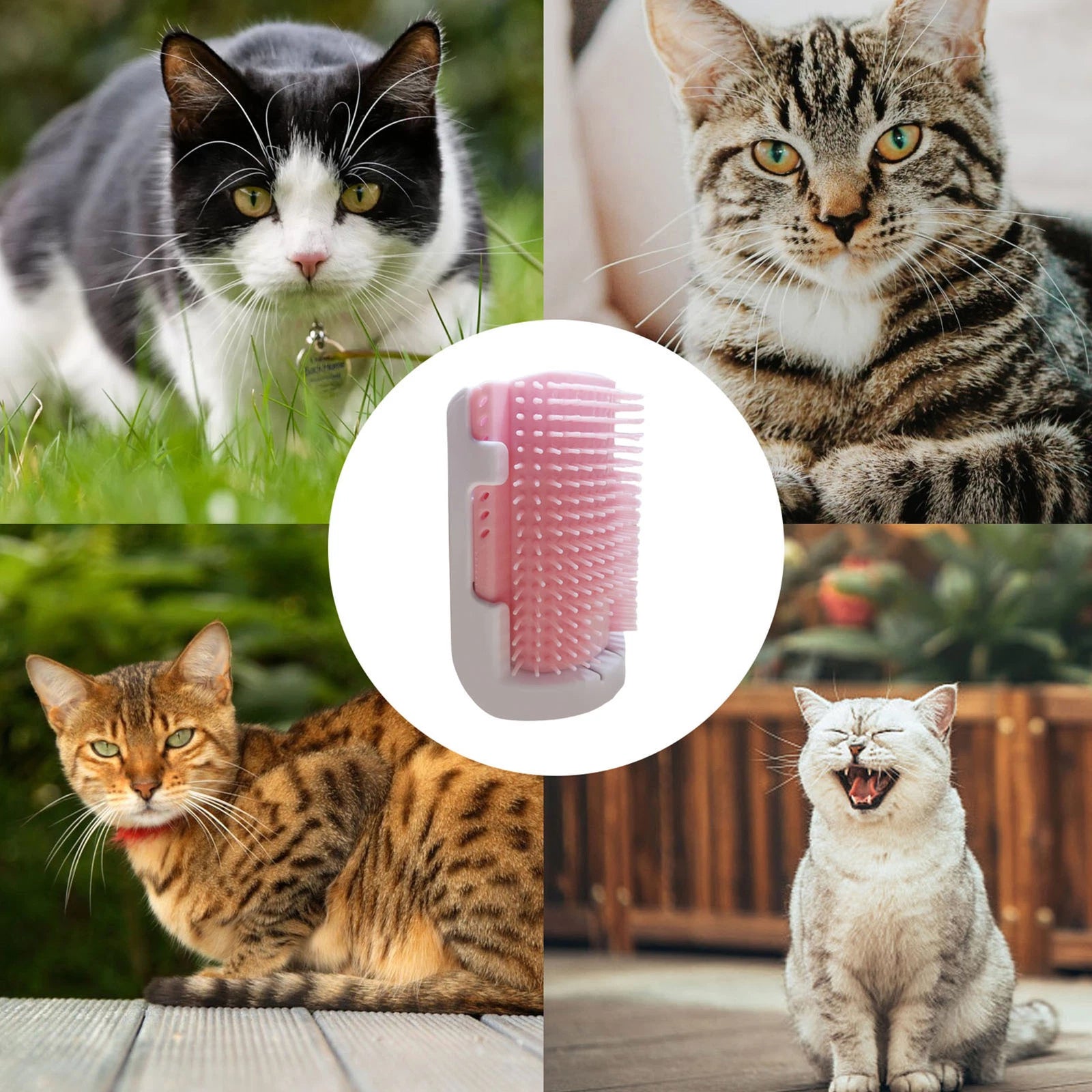 Cat Self Groomer with Catnip Wall Corner Massage Comb Scratcher Grooming Brush
