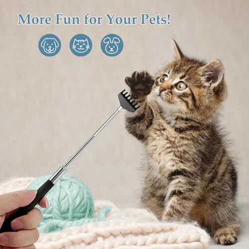 3 Pack Telescoping Back Scratcher Extendable Bear Claw Itch Relief for Back