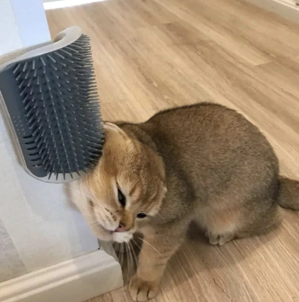 Cat Self-Groomer & Face Scratcher -Wall Corner Massage Comb, Grooming Brush Tool