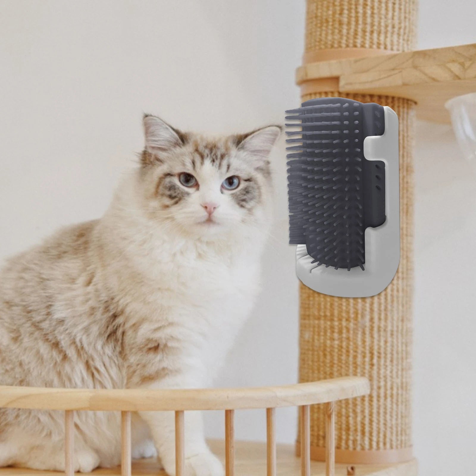 Cat Self Groomer with Catnip Wall Corner Massage Comb Scratcher Grooming Brush