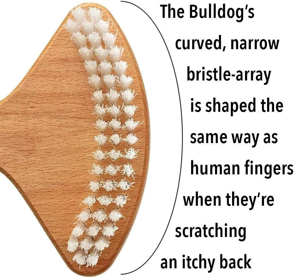 Ultimate Sensory Experience Back Scratcher - Engineered for Comfort and Safety