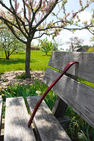 Oversized Wooden Back Scratcher: 18'' Extended Curved Handle for Better Reach,