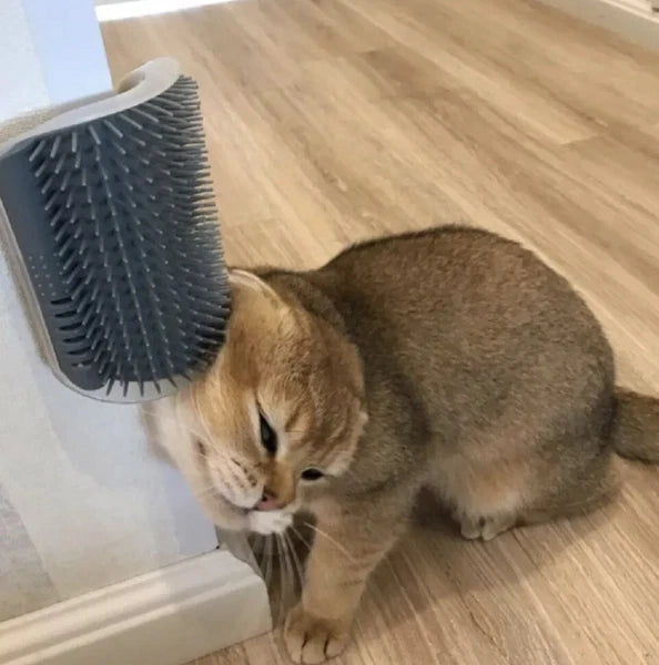 Cat Self-Groomer & Face Scratcher -Wall Corner Massage Comb, Grooming Brush Tool